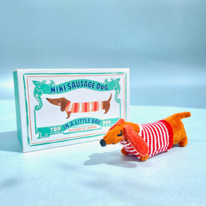 Personalised Mini Dachshund In Matchbox Bed