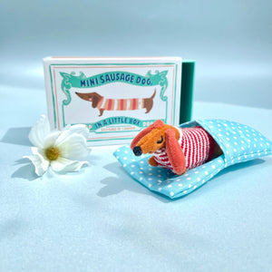 Personalised Mini Dachshund In Matchbox Bed
