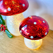 Light Up Glass Mushroom Pair