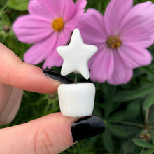 Letterbox Gift, Friends Are Like Stars