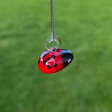 Handmade Glass Hanging Ladybird Set
