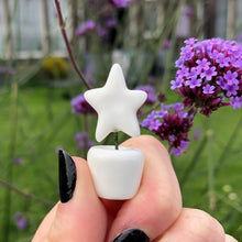 Letterbox Gift, Friends Are Like Stars
