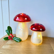 Light Up Glass Mushroom Pair