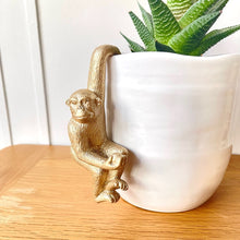 Golden Monkey Pot Hanger