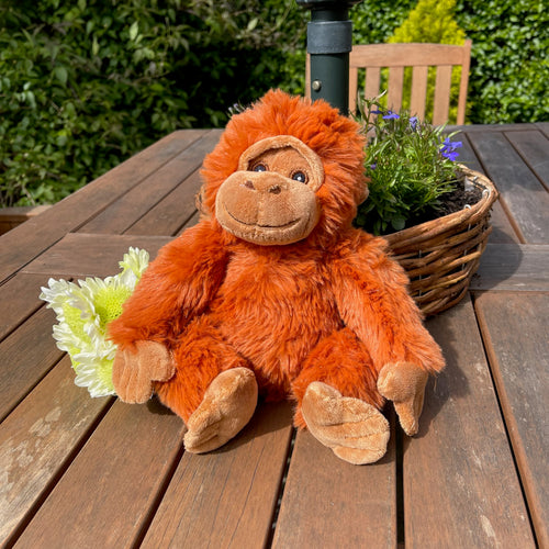 Super Soft Orangutan Cuddly Toy