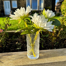 White Flower Stems In Glass Vase