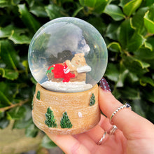 Christmas Snowglobe With Sleeping Mouse
