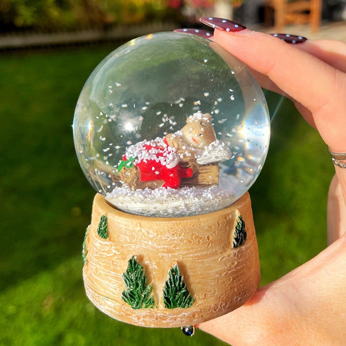 Christmas Snowglobe With Sleeping Mouse