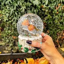 Christmas Robin Pair Musical Snowglobe