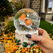 Christmas Robin Pair Musical Snowglobe