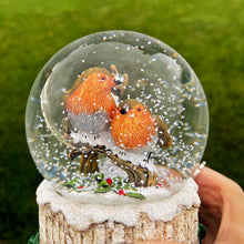 Christmas Robin Pair Musical Snowglobe