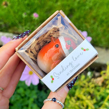 Hand holding a small wooden box with a bird figurine against a green outdoor background