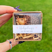 Hedgehog Keepsake Ornament With Gift Box