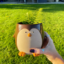 Penguin Ceramic Planter
