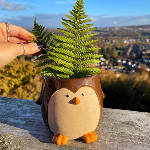 Penguin Ceramic Planter
