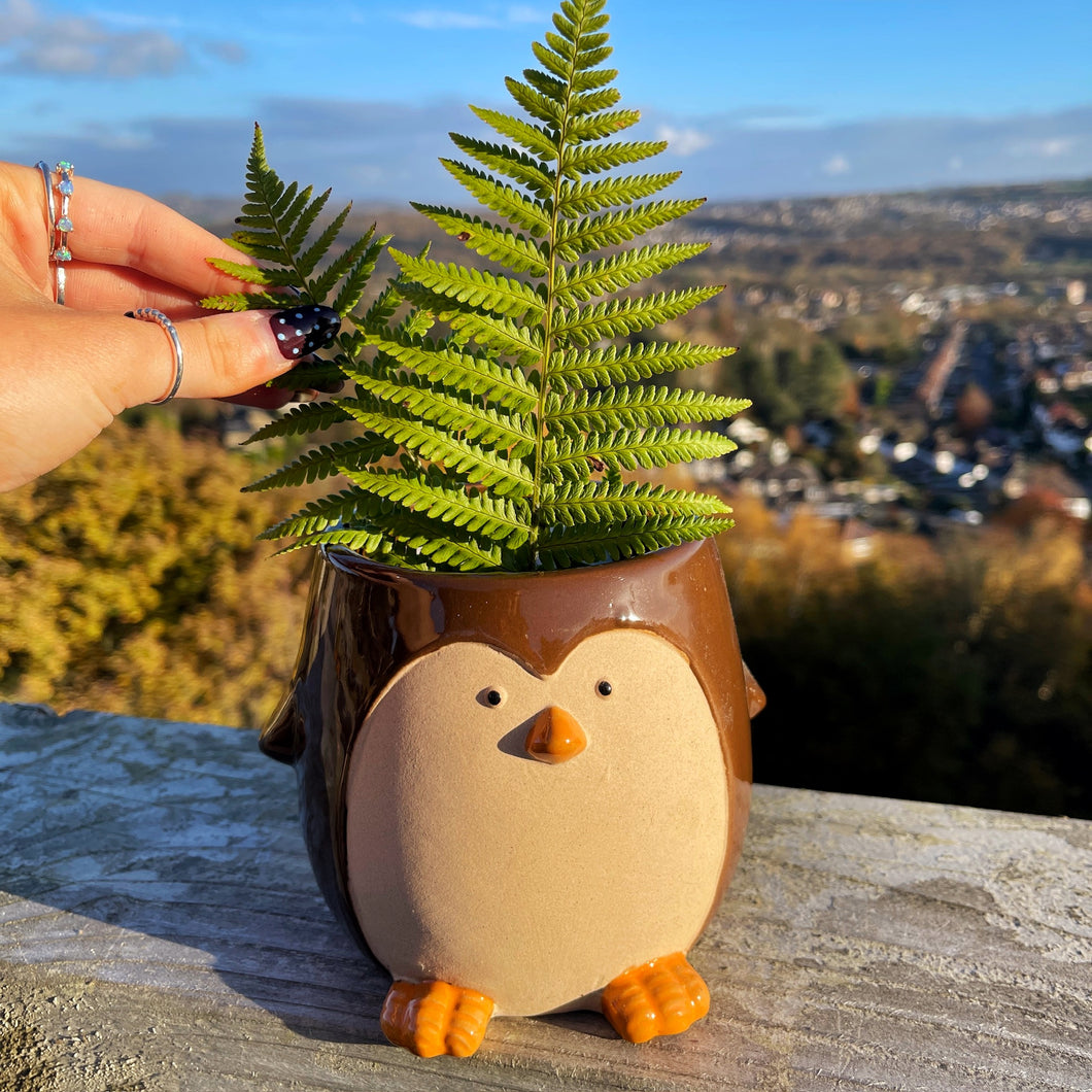Penguin Ceramic Planter