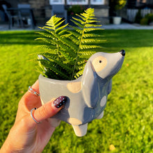 Spotty Dog Ceramic Planter