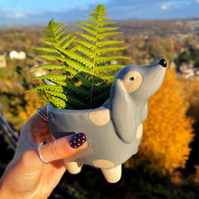 Spotty Dog Ceramic Planter