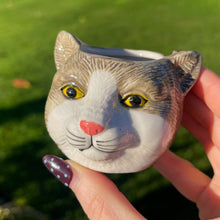 Hand holding a cat-shaped object with a garden in the background