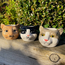 Three cat-shaped ceramic planters on a wooden surface with greenery in the background