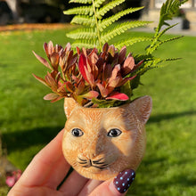 Cat-shaped planter with plants held in front of a house and garden.