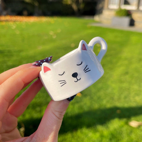 Small white cat-shaped object held by a hand outdoors on a grassy area.