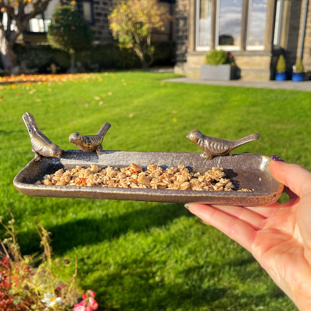 Person holding a bird feeder with decorative birds against a garden background
