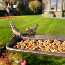 Bird feeder with birds on top in a garden setting