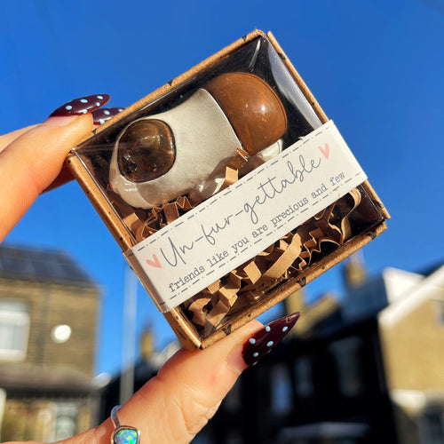 Hand holding a small box with a guinea pig against a blue sky.