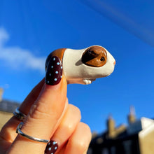 Small Guinea Pig held between fingers against a blue sky with houses in the background