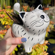 Cat-shaped planter held by a hand with a blurred garden background