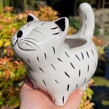 Ceramic Cat Small Planter