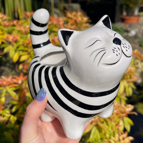 Person holding a black and white striped cat-shaped ceramic pot outdoors with plants and a pond in the background.