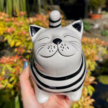 Person holding a black and white striped cat-shaped object in an outdoor garden setting