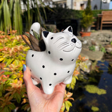 Ceramic Cat Small Planter