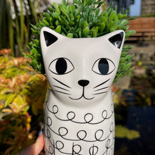 Ceramic Cat Vase