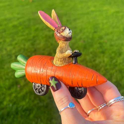 Bunny Riding In A Carrot