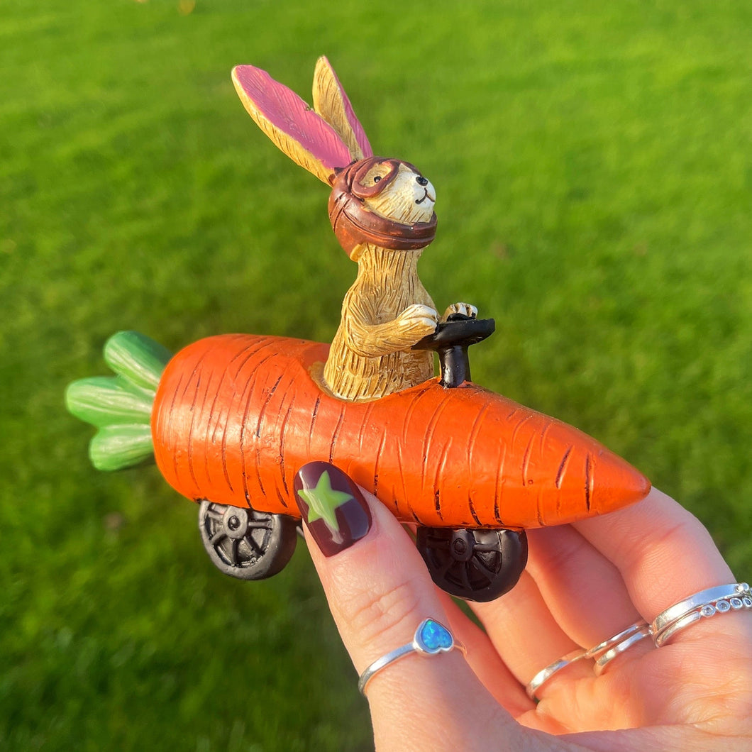 Bunny Riding In A Carrot