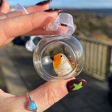 Handmade Open Glass Bauble With Tiny Robin