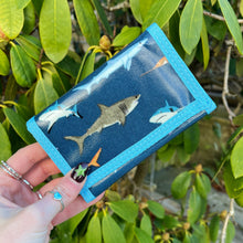Children's Shark Blue Wallet