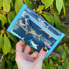 Children's Shark Blue Wallet