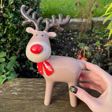 Christmas Rudolf Character Decoration