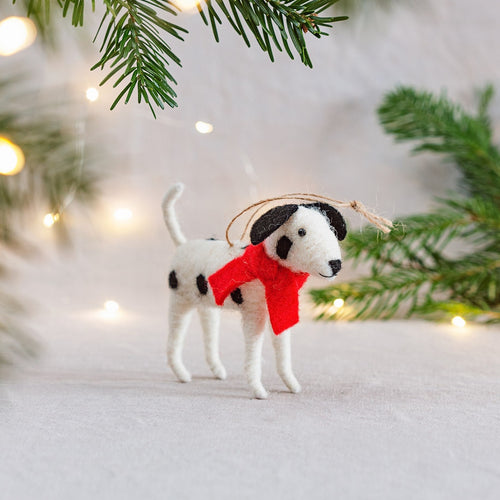 Dalmation In Scarf Decoration