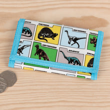 Children's Dinosaur Colourful wallet