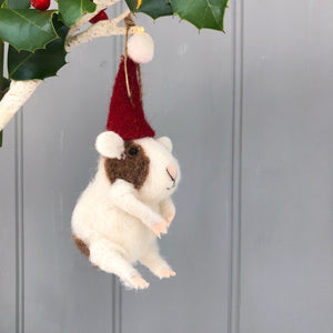 Christmas Guinea Pig In Santa Hat