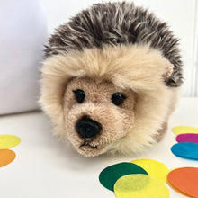 Fluffy Hedgehog in Personalised Bag